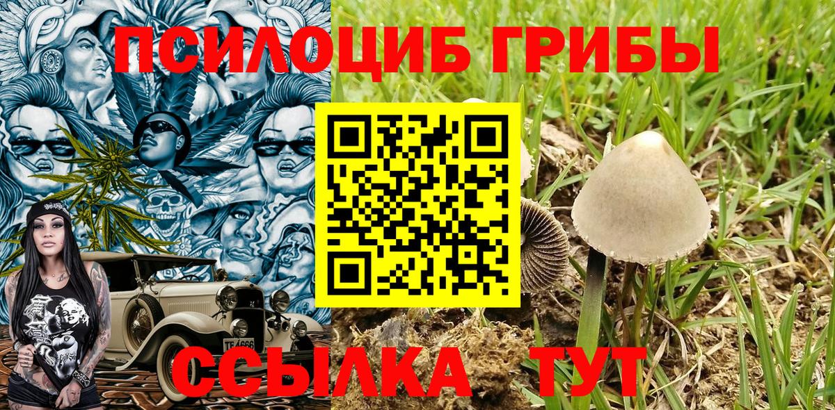Галлюциногенные грибы Psilocybine cubensis  Галлюциногенные грибы мицелий  Муравленко  Вход с VPN 
